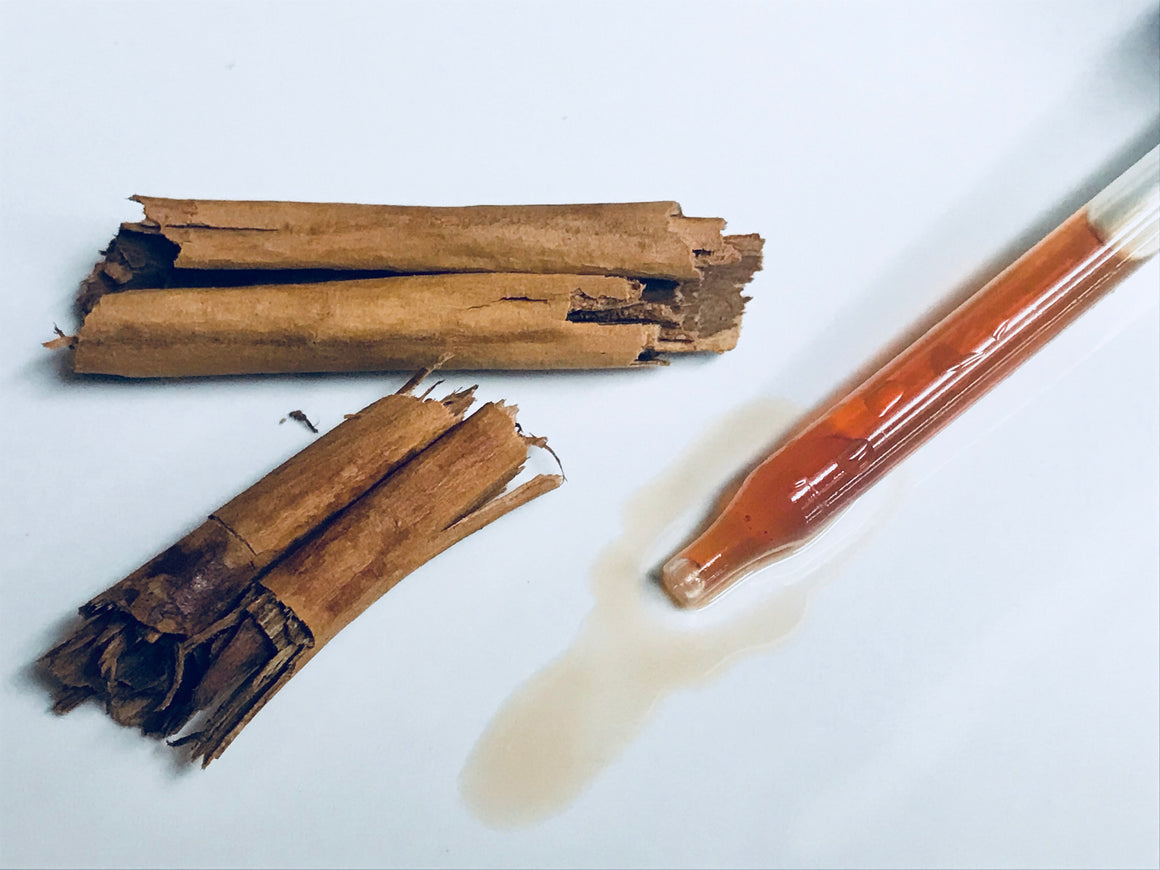 Tincture - Cinnamon (Ceylon)